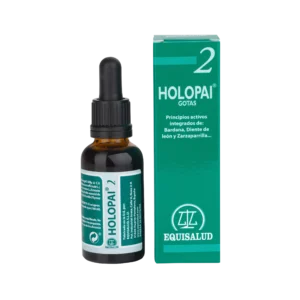 Holopai 2