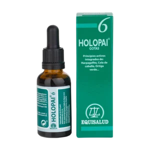Holopai 6